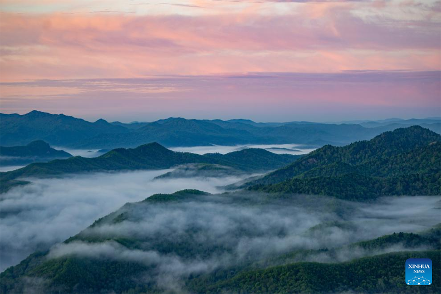 Foto yang diambil pada 21 Mei 2025 ini memaparkan lautan awan yang dilihat dari Puncak Jinzu di Yichun, provinsi Heilongjiang, timur laut China. (Xinhua/Xie Jianfei)