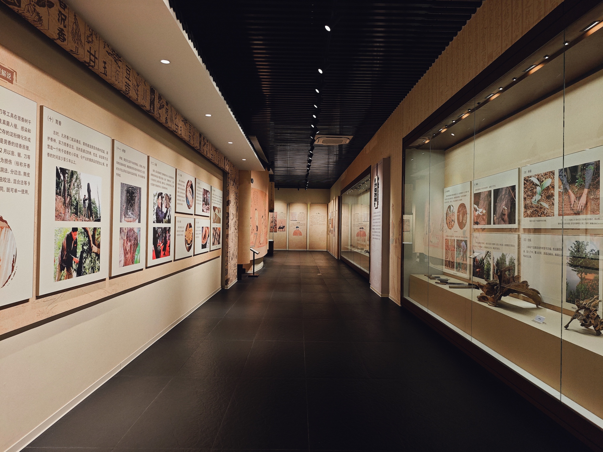 Muzium yang mempaparkan proses penanaman dan pembuatan wangian Wanxiang di Dalingshan.