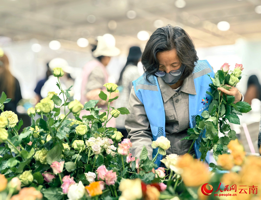 Bunga Keratan Segar Lonjak Pendapatan Pekebun di Yunnan