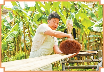 Song Zhixue membuat Xiabu, secara harfiah bermaksud kain musim panas, di kaunti Wanzai, bandar Yichun, Provinsi Jiangxi di timur China. (Foto oleh Zhou Liang)