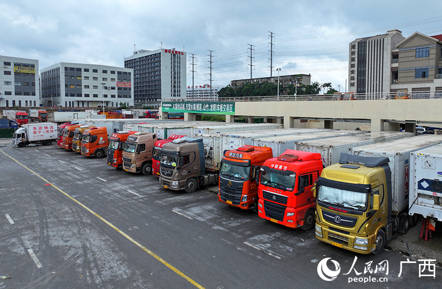 Trak logistik rantai sejuk yang sarat dengan buah-buahan ASEAN segar sedang dipunggah di luar Pasar Borong Haijixing di Nanning. (People’s Daily Online/Fu Huazhou)