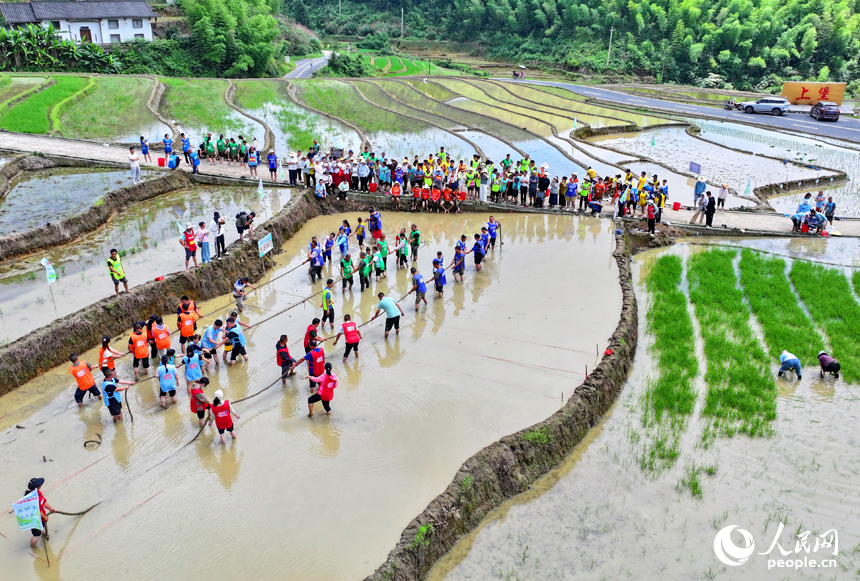 Penduduk Kampung Chongyi Sakan Bersukan di Sawah Berteres