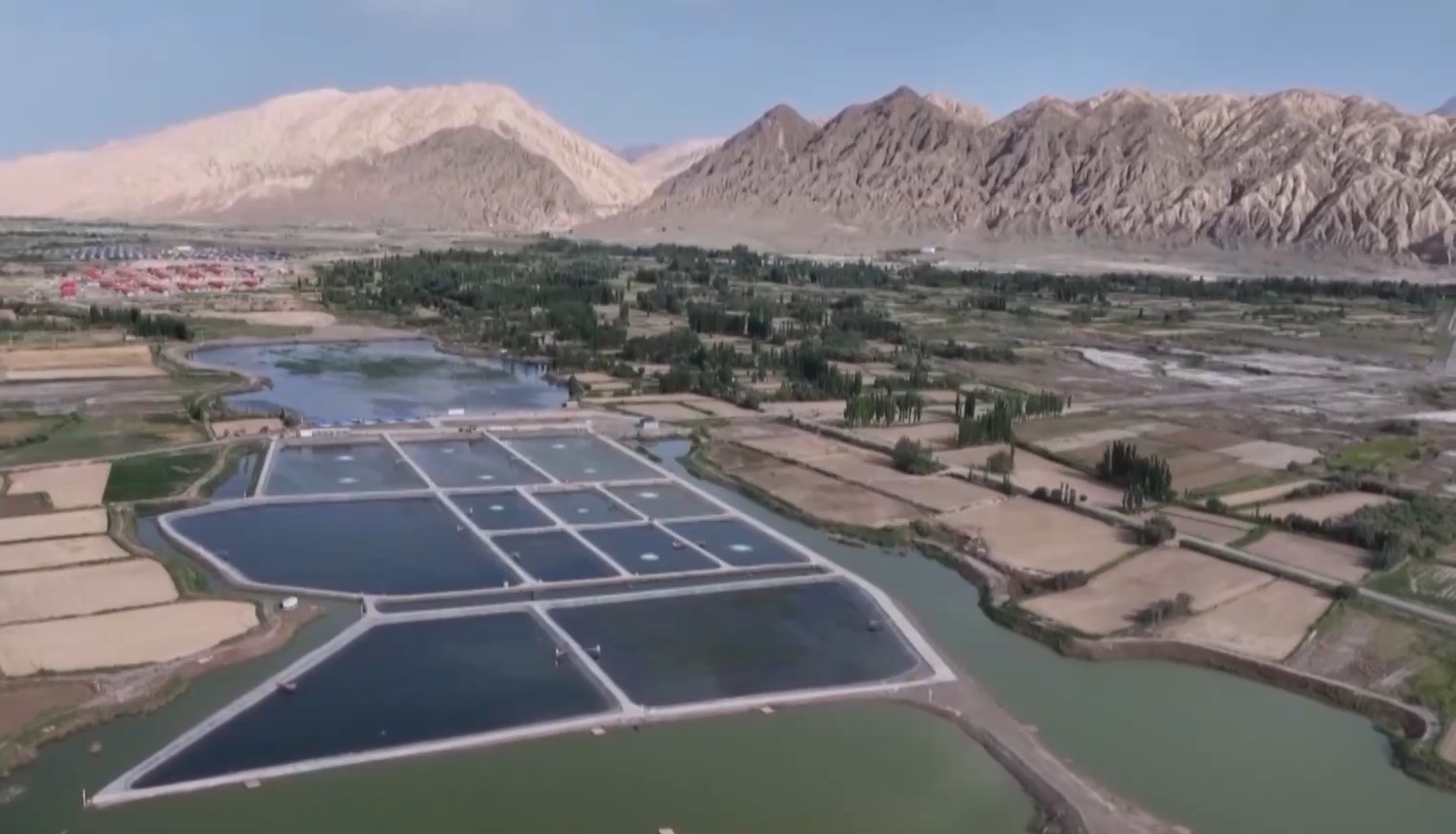 (Foto oleh CCTV News)