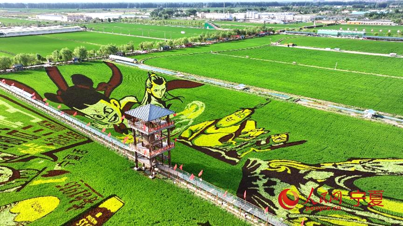 1.	Foto sudut udara ini memaparkan seni sawah yang bertemakan filem animasi China, ‘Ne Zha’ di taman ekopelancongan luar bandar ikan-beras di kampung Sishilidian, pekan Changxin, kaunti Helan di Yinchuan, ibu kota Wilayah Autonomi Hui Ningxia di barat laut China. (People’s Daily Online/Liang Hongxin)