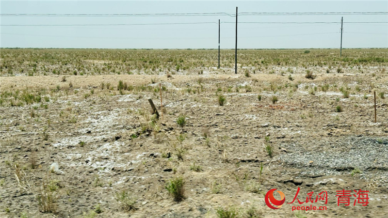 Industri Tasik Garam Berkembang di Qinghai