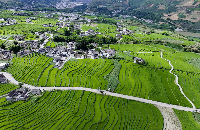 Sungai Lancang: Pemandangan Ladang Teres Musim Panas dari Udara