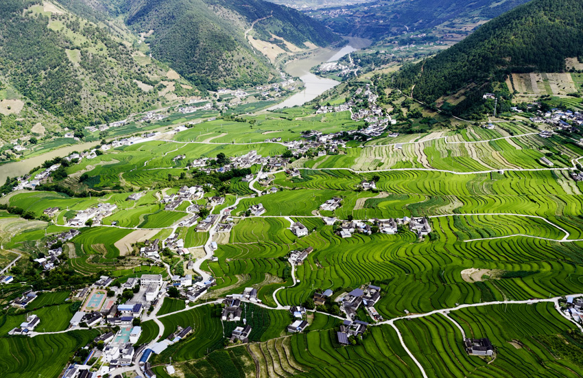 Sungai Lancang: Pemandangan Ladang Teres Musim Panas dari Udara