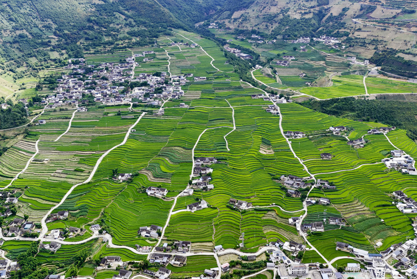 Sungai Lancang: Pemandangan Ladang Teres Musim Panas dari Udara