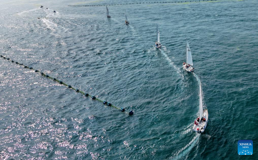 Foto dron bertarikh 10 Julai 2025 ini memperlihatkan beberapa perahu layar yang menyertai acara pelayaran di laut di kawasan Teluk Laolong, Qingdao, provinsi Shandong, timur China. (Xinhua/Li Ziheng)