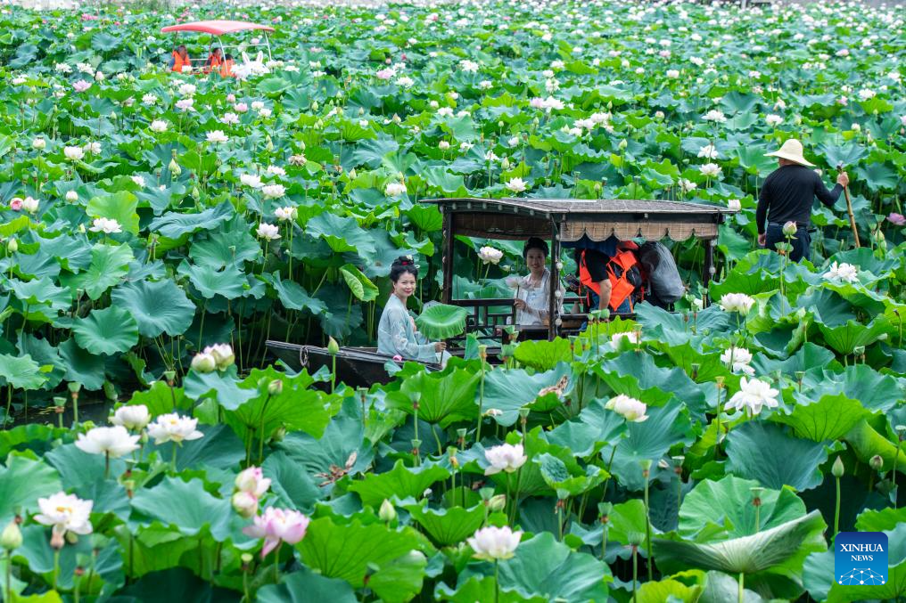 Pengunjung menaiki bot di celah-celah bunga teratai di Taman Qingshan, bandar Luodi, provinsi Hunan, tengah China, 12 Julai 2025. (Foto oleh Wu Yonghua/Xinhua)