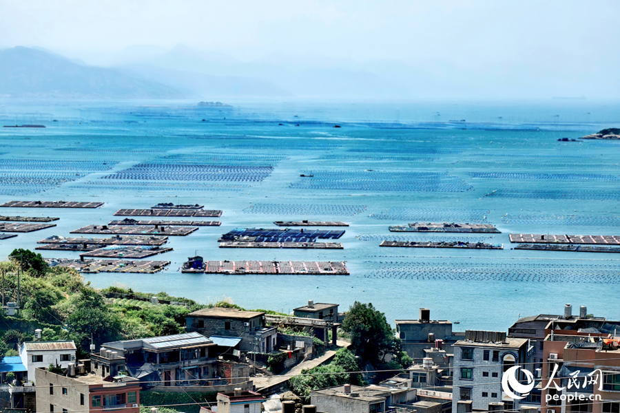 Industri Abalone Semakin Rancak di Kaunti Lianjiang