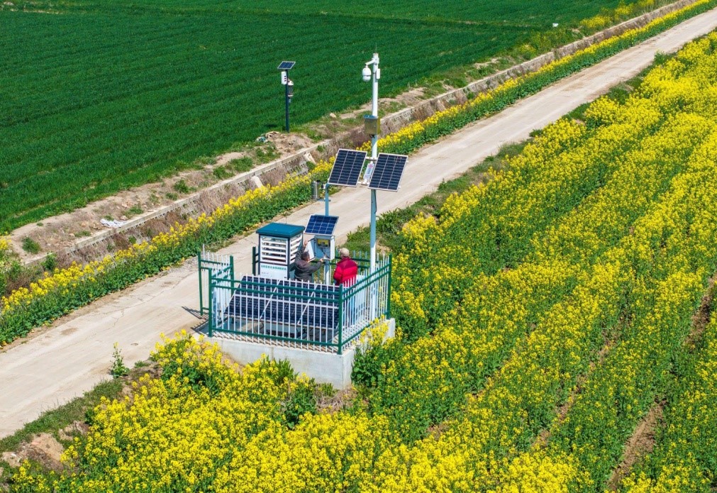 Juruteknik pertanian sedang memeriksa dan menyelenggara satu sistem pengawasan serangga perosak jarak jauh di Ladang Fuxi, pekan Pingpu, Wuhu di Provinsi Anhui, timur China. (People’s Daily Online/Xiao Benxiang)