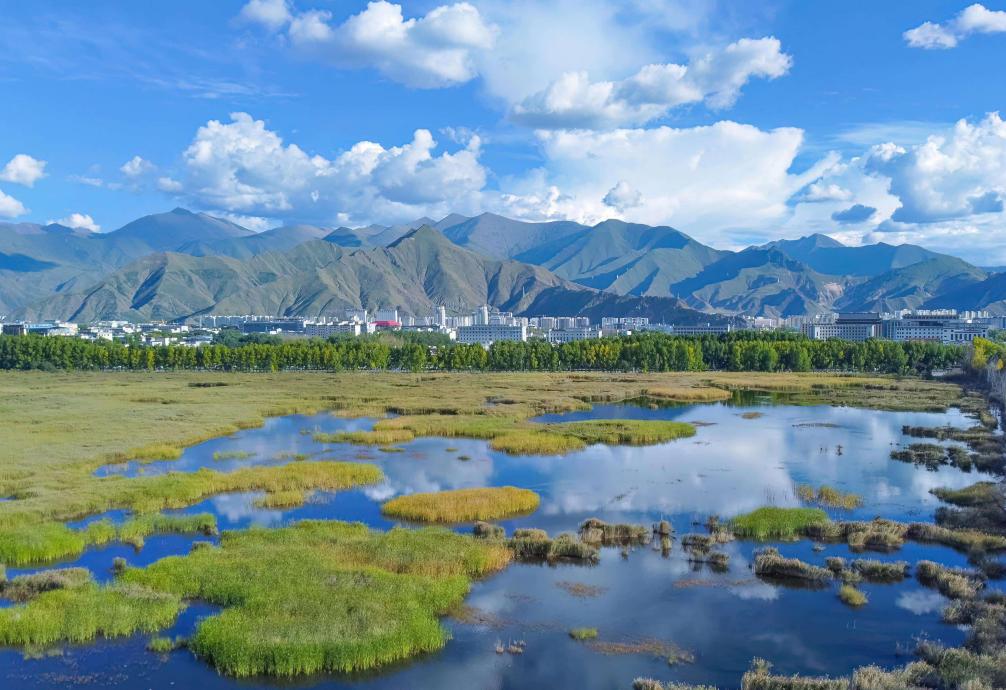 Foto menunjukkan Tanah Lembap Lhalu di kawasan subbandar utara Lhasa, Wilayah Autonomi Xizang di barat daya China. (Foto oleh Ai Jiaxian)