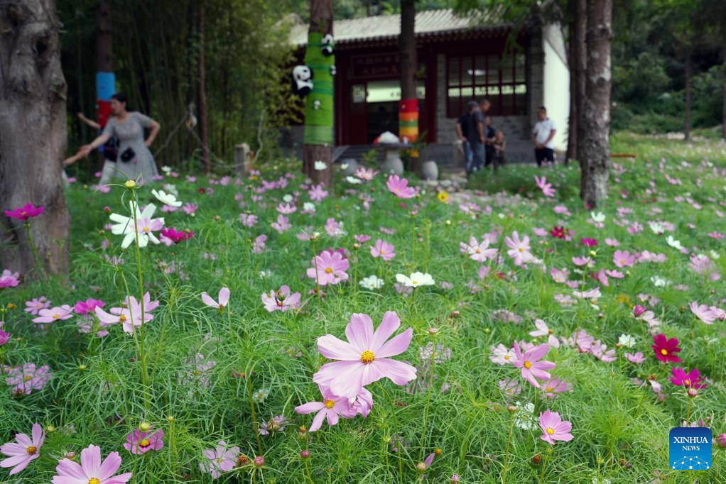 Pelancong melawat tapak peringatan Du Fu di Kaunti Chengxian, Provinsi Gansu di barat laut China pada 13 Julai 2025. (Xinhua/Ma Ning)