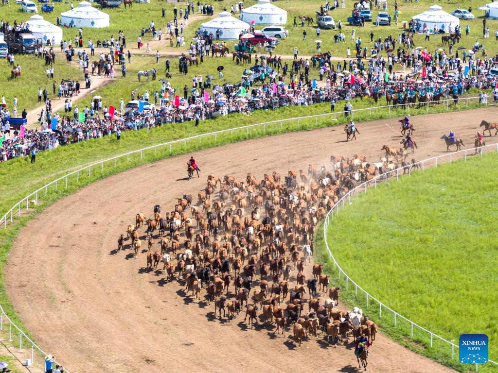 Sekeping foto sudut udara bertarikh 7 Ogos 2025 ini memperlihatkan pelancong sedang menonton persembahan lumba kuda semasa Pesta Nadam. (Xinhua/Ma Jinrui)