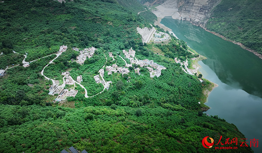 Industri Lada Sichuan Berkembang Maju di Yunnan