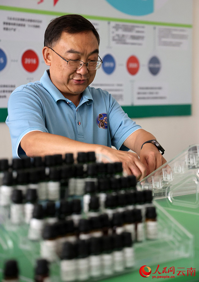 Industri Lada Sichuan Berkembang Maju di Yunnan