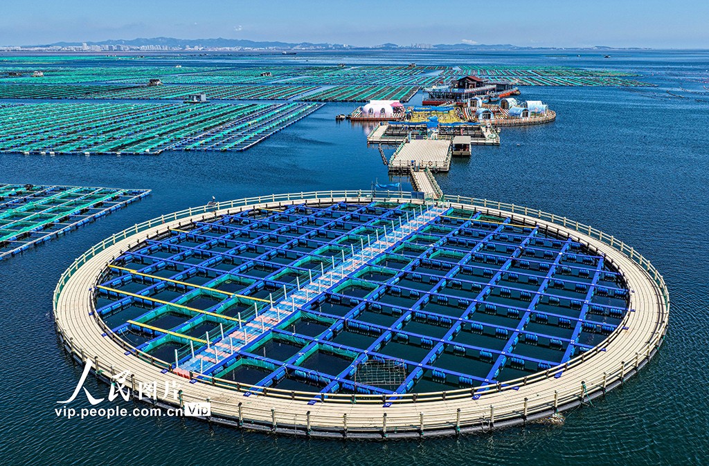 Pada 12 Ogos 2025, pelancong menaiki bot persiaran semasa melawat ladang marin kebangsaan di Teluk Sanggou di daerah Shidao, bandar Rongcheng, Provinsi Shandong di timur China. (Foto oleh Li Xinjun)