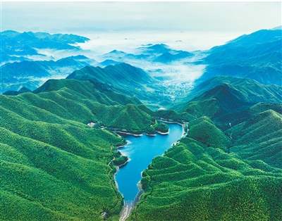 Imej hutan buluh di kaunti Anji, bandar Huzhou, Provinsi Zhejiang di timur China. (Foto oleh Kang Fengying)
