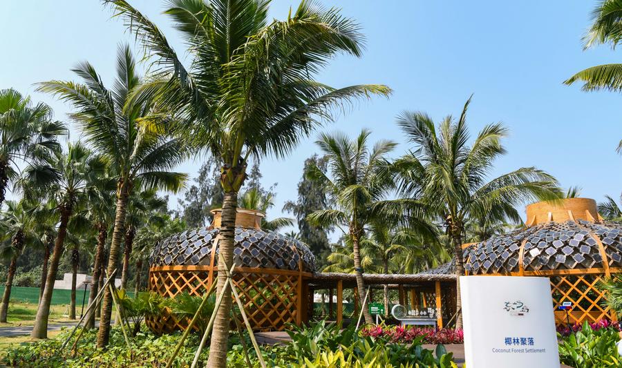Foto bertarikh 25 Mac 2024 ini memaparkan sebuah kawasan pokok kelapa di zon demonstrasi sifar karbon Boao di Provinsi Hainan, selatan China. (Xinhua/Yang Guanyu)