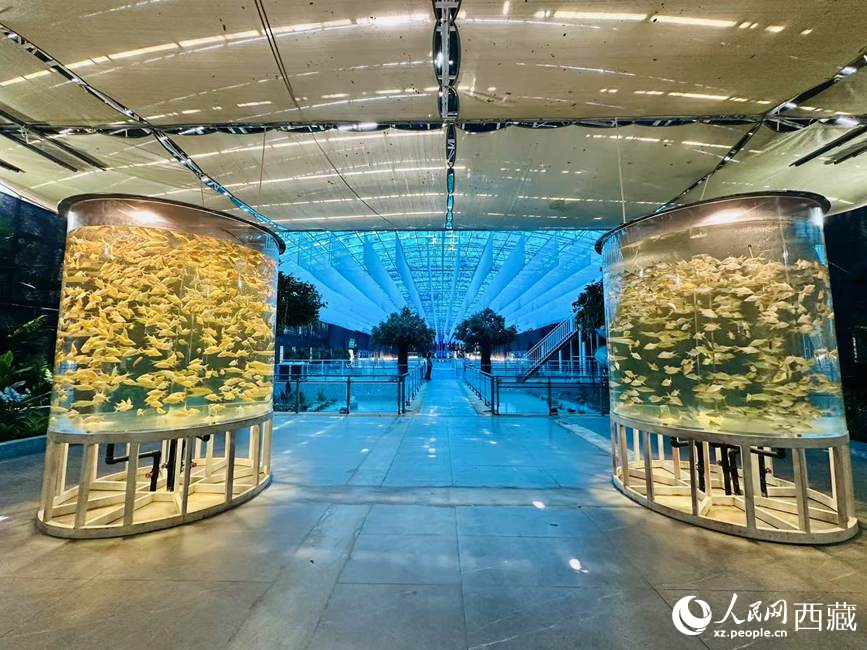 Xizang Alami Ledakan Pelancongan, Didorong Pembangunan Hijau