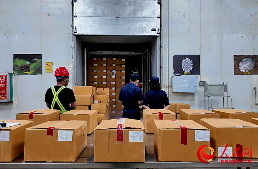 Kastam sedang memeriksa kargo. (People's Daily Online/Liang Zhanghui)