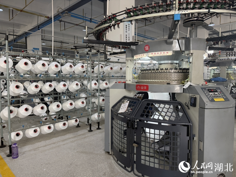 Bandar Tianmen Guna Platform E-dagang, Bina Jaringan Pakaian Global