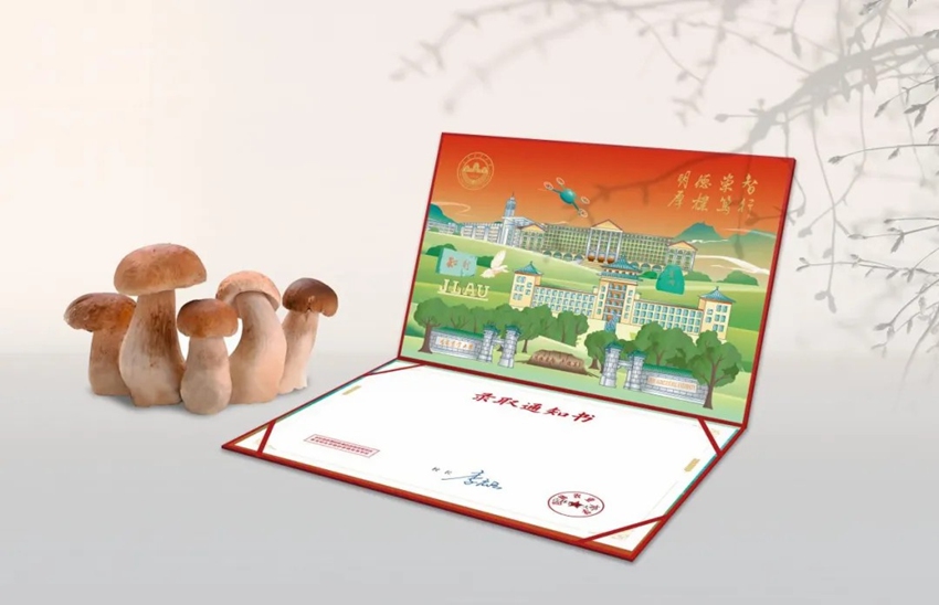 Bahagian dalam ‘notis kemasukan cendawan’ boleh dimakan Universiti Pertanian Jilin yang diperbuat oleh serat cendawan. (Foto ihsan Universiti Pertanian Jilin)