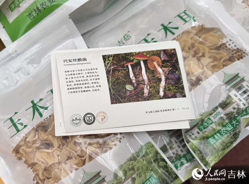 Poskad diperbuat daripada serat cendawan dipamerkan di Ekspo Makanan dan Pertanian Antarabangsa Changchun China ke-24 di Changchun, Provinsi Jilin, timur laut China. (People’s Daily Online/Li Siyue)