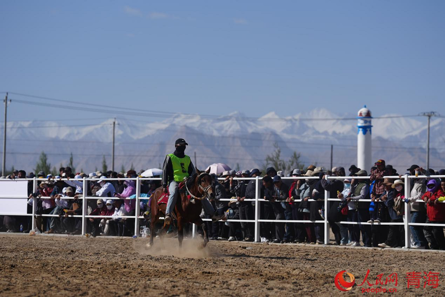 Pesta Naadam Disambut Penuh Meriah di Padang Rumput Qinghai