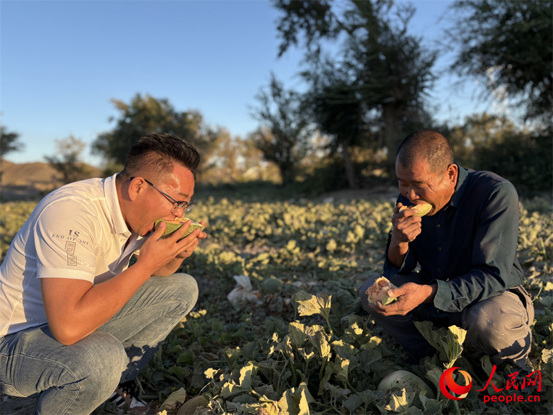 Yan Xiaobing (kiri) mencuba ‘melon Hami Kudou’ dengan seorang petani di sebuah ladang di pekan Santanghu di Kaunti Autonomi Kazak di Barkol, bandar Hami, Wilayah Autonomi Uygur Xinjiang, barat daya China. (People’s Daily Online/Chen Xinhui)