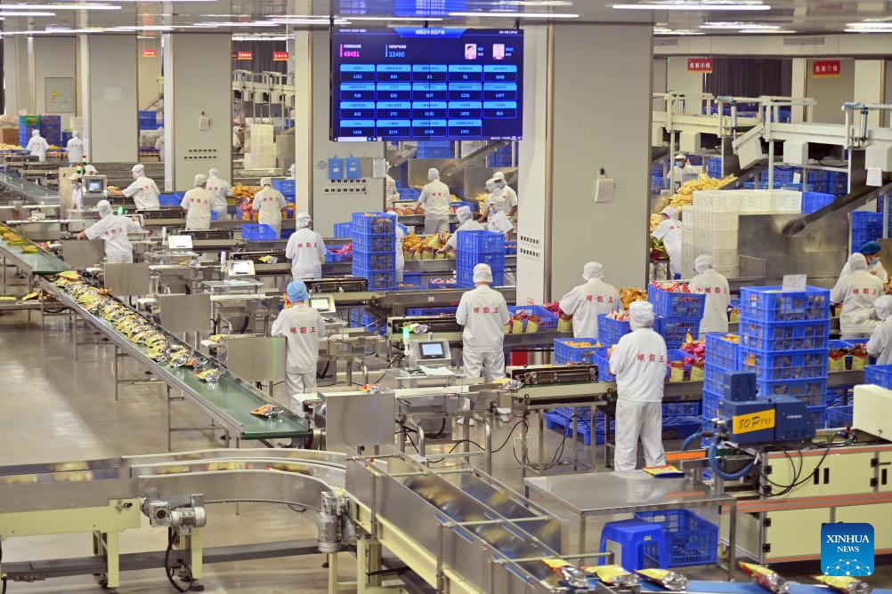 Para pekerja membungkus Luosifen pra-bungkusan di sebuah gudang di Liuzhou, Wilayah Guangxi pada 9 September 2025. (Xinhua/Huang Xiaobang)