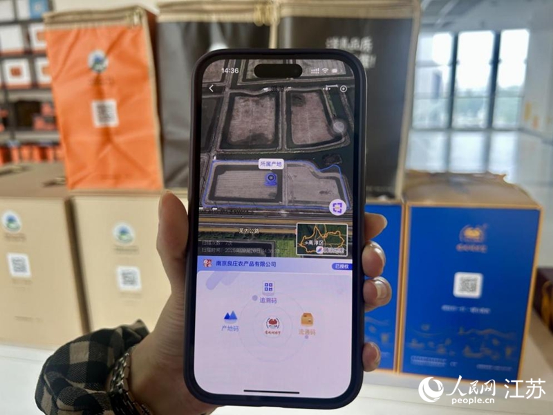 Foto menunjukkan hasil yang dipaparkan pada telefon selepas mengimbas kod QR daripada sistem pensijilan kualiti ‘integrasi tiga kod’ ketam Tasik Gucheng. (People’s Daily Online/Wang Dandan)