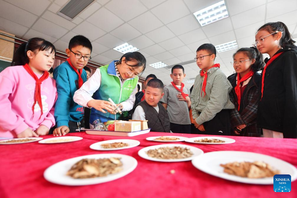 Seorang murid mencuba terapi moxa Cina tradisonal di satu acara yang diadakan di sebuah sekolah rendah di Qingdao, Provinsi Shandong, timur China, pada 21 Oktober 2025. (Xinhua/Wang Haibin)