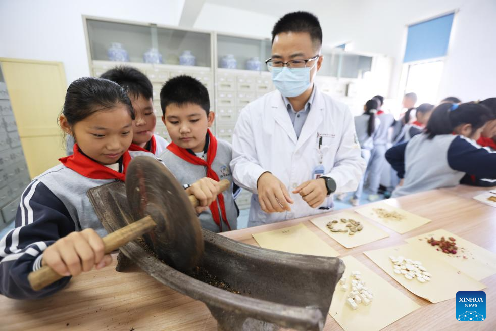 Murid-murid dari sebuah sekolah rendah sedang belajar untuk mengisar herba TCM di sebuah pusat kesihatan di Kaunti Deqing, Bandar Huzhou, Provinsi Zhejiang di timur China pada 22 Oktober 2025. (Xinhua/Ni Lifang)