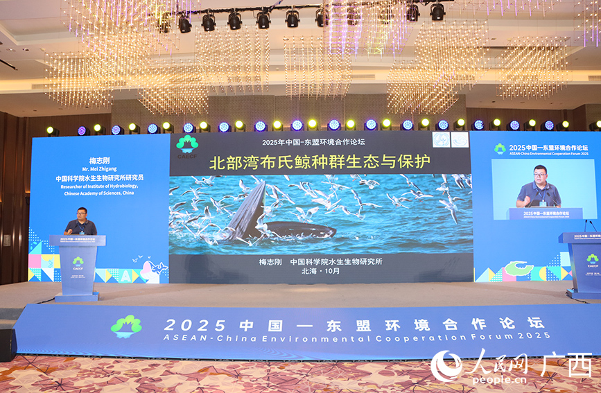 Dialog untuk Pembangunan Mampan dan Perlindungan Ekologi Alam Sekitar di Habitat Paus Bryde Tepi Pantai dianjurkan di bandar Beihai, Wilayah Autonomi Zhuang Guangxi, selatan China. (People’s Daily Online/Fu Huazhou)