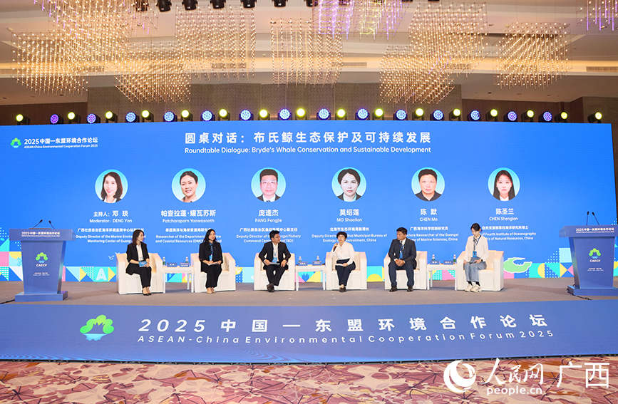 Dialog meja bulat tentang perlindungan dan pembangunan mampan paus Bryde telah diadakan semasa Dialog untuk Pembangunan Mampan dan Perlindungan Ekologi Alam Sekitar Habitat Paus Bryde Tepi Pantai dianjurkan di bandar Beihai, Wilayah Autonomi Zhuang Guangxi, selatan China. (People’s Daily Online/Fu Huazhou)