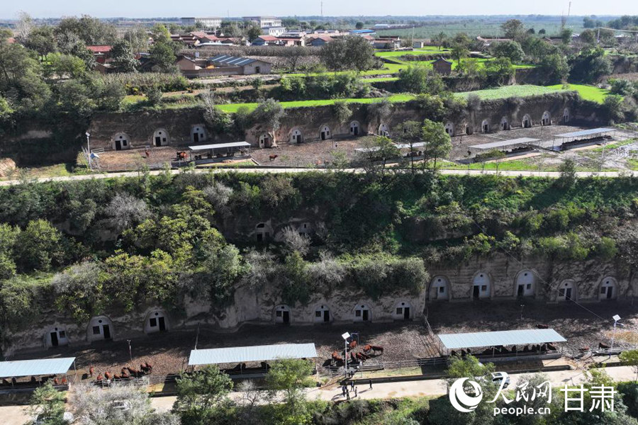 Foto memperlihatkan pemandangan sudut udara di tapak demonstrasi pembiakan lembu di kampung Ganzhuang, pekan Huangzhai, kaunti Chongxin, bandar Pingliang, di Provinsi Gansu. (People’s Daily Online/Jiao Long)